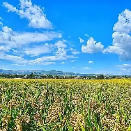 Lägenhet Apartament Caterina - Delta De L'ebre, *
