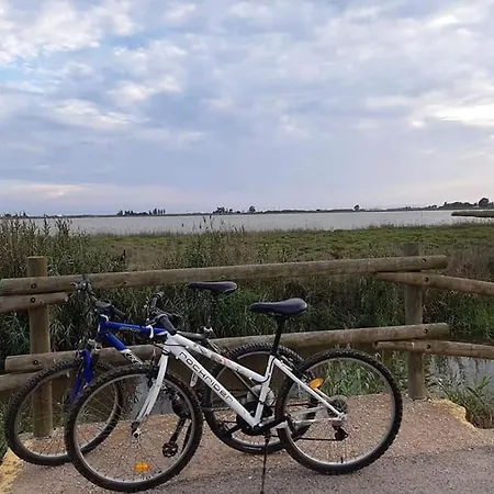 Apartamento Apartament Caterina - Delta De L'ebre, Amposta