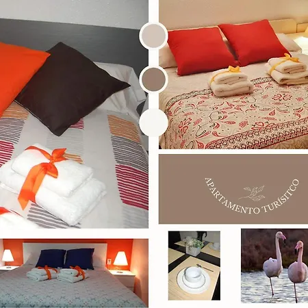 Apartamento Apartament Caterina - Delta De L'ebre, *